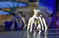 Lionking 0165